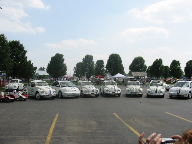 Copy of IMG_8621.JPG